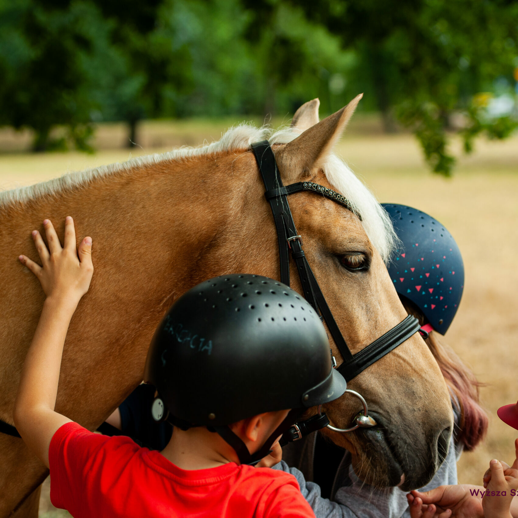 Lekcja o koniu dla grup szkolnych i przedszkolnych